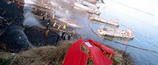 Exxon Valdez oil spill cleanup