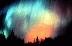 Northern Lights over silhouetted tree line