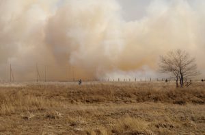large smoke cloud over grass fields due to forest fires