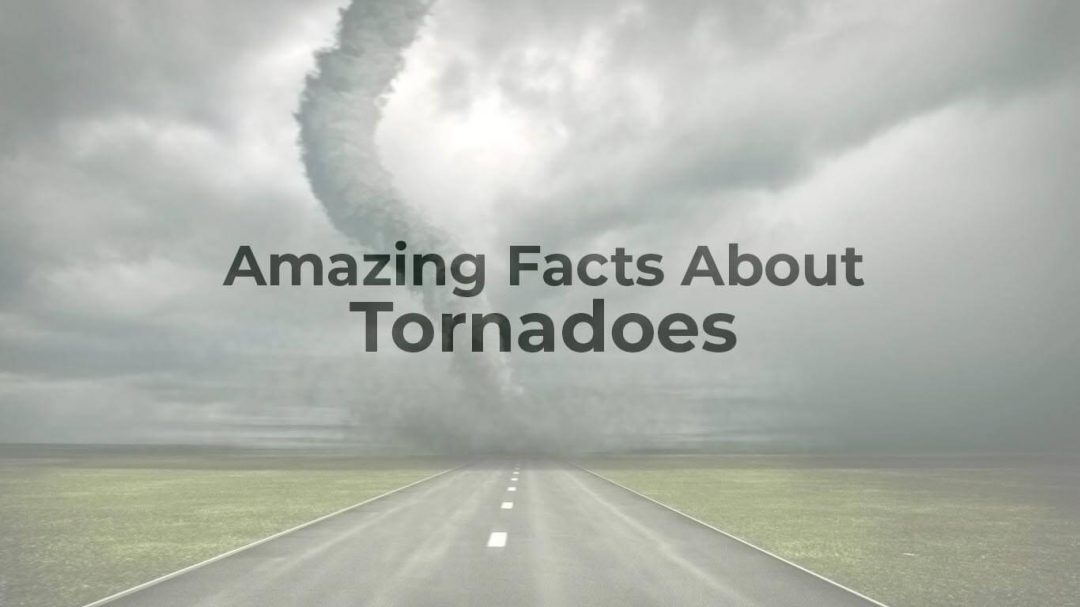 Amazing Facts About Tornadoes: The Most Unpredictable Force Of Nature