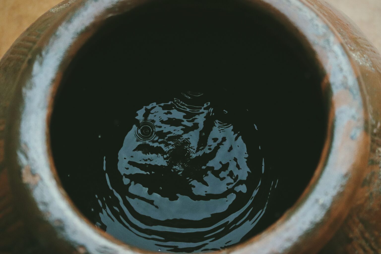 5 Realistic Overpopulation Solutions We Need to Implement